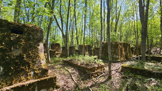 Cruise to Old Kemi with Guided Walking Tour