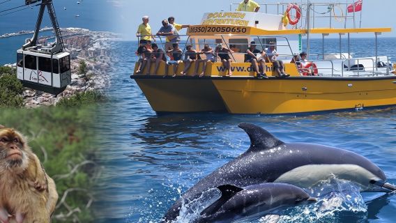 Dolphin Watching in Gibraltar & Fast Track Priority Cable Car