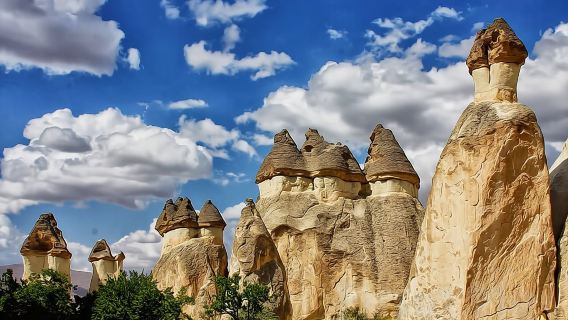 CavusinTours