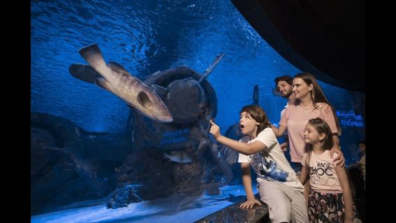 พิพิธภัณฑ์สัตว์น้ำอันตัลยาพร้อมทางเข้าและบริการรับส่งไปกลับจากอลันยา