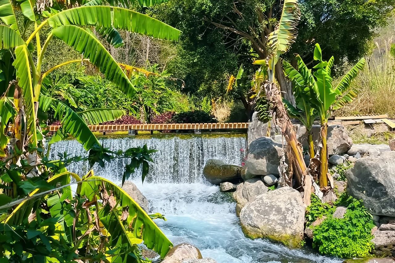 騰衝荷花溫泉+壩派巨泉+撫司署一日遊可升級過橋米線水果採摘