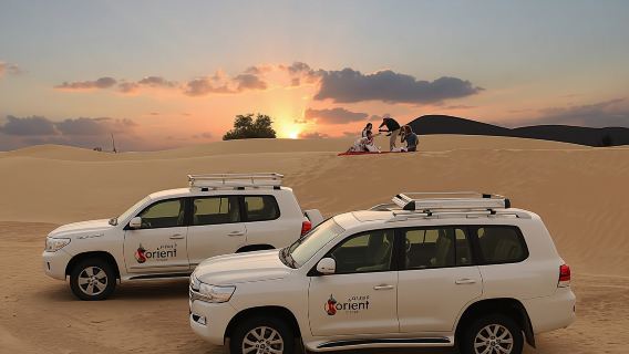 4x4 sunrise and wildlife desert safari with picnic from Dubai