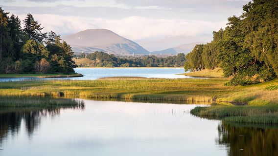 Cairngorms National Park and Speyside Whisky day tour from Inverness