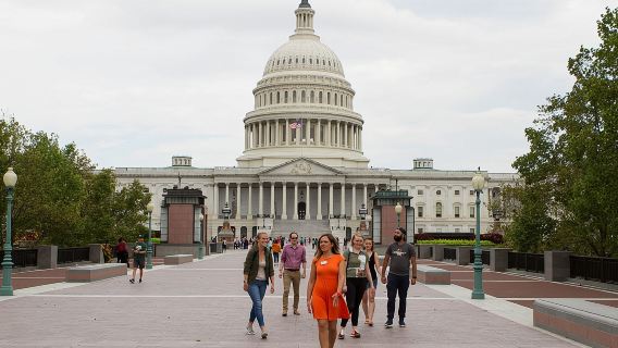 Tour a piedi dei punti salienti di Capitol Hill e della Biblioteca del Congresso (con biglietti)