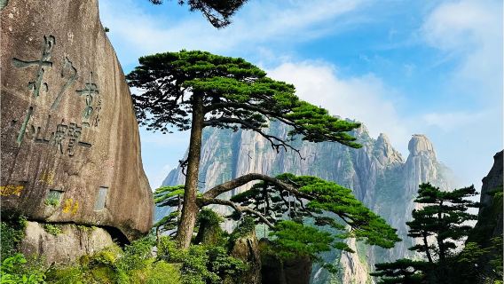 tour 1 ngày Hoàng Sơn: dịch vụ hướng dẫn viên riêng đồng hành leo núi | thuê xe riêng | 1 đoàn 1 tour | đa ngôn ngữ Trung-Anh #