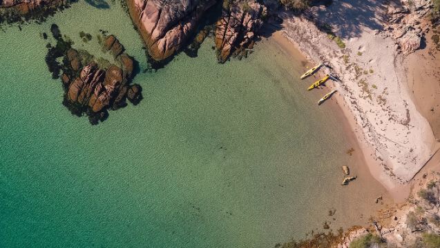 El remo por Freycinet