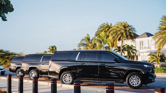 Private Round - Trip Airport Transfer in Aruba
