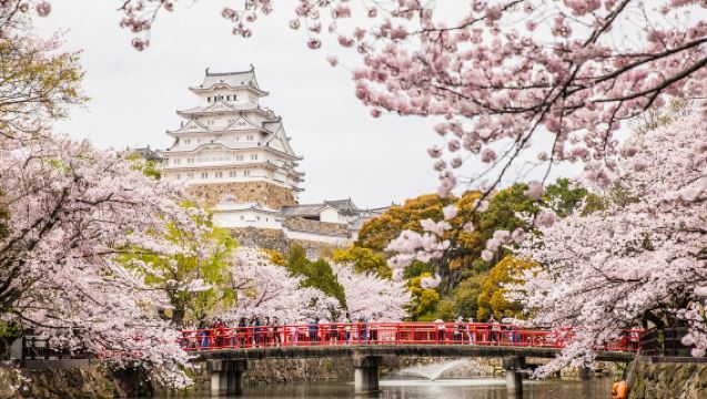 1-day tour from Osaka | Classic pilgrimage to world heritage Himeji Castle and Kobe Kitano Ijinkan night view