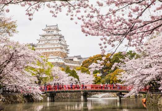 1-day tour from Osaka | Classic pilgrimage to world heritage Himeji Castle and Kobe Kitano Ijinkan night view