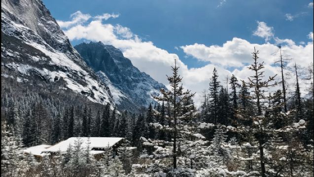 四姑娘山出發－成都（豪華空調大巴）單程接駁車