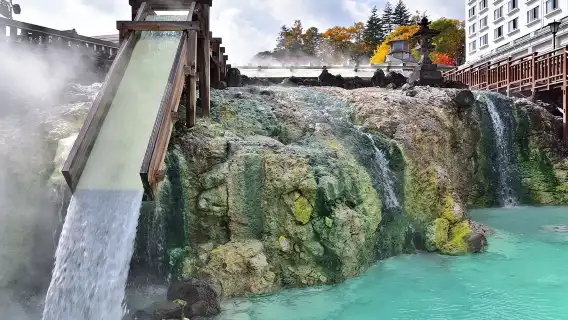 Official ticket: JR Tokyo Wide Area Pass (electronic redemption voucher, redeemable from 8/21)