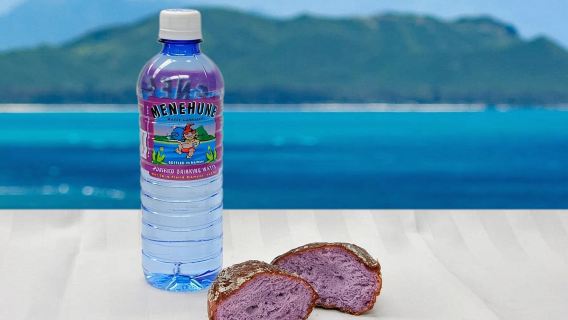 Oahu: Grand Circle Island Tour with Haleiwa