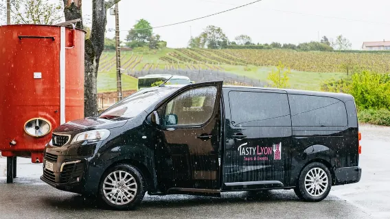 Da Lione: tour di degustazione di vini Beaujolais Golden Stones