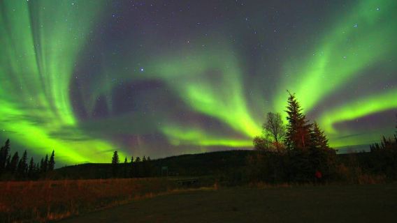 Dari Fairbanks: Tur Cahaya Utara & Kubah Murphy