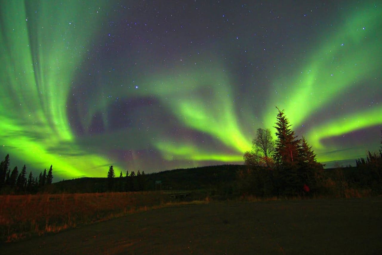 From Fairbanks: Northern Lights & Murphy Dome Tour
