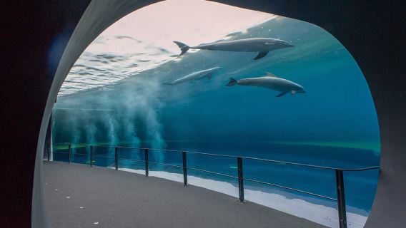 Genua: Kombiticket Aquarium und FantaCinema