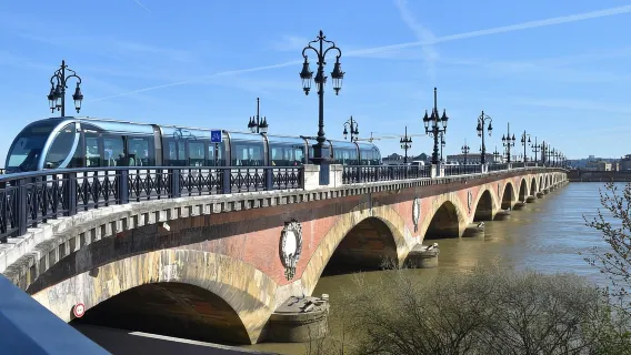 Bordeaux: Guided Walking Tour