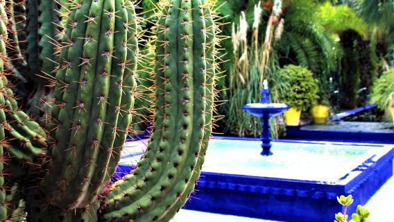 Marrakech: Majorelle Garden with a Digital Audio Guide App