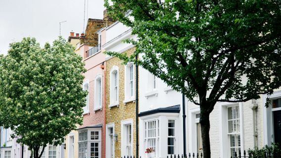 London: Geführter Rundgang durch Kensington und Chelsea