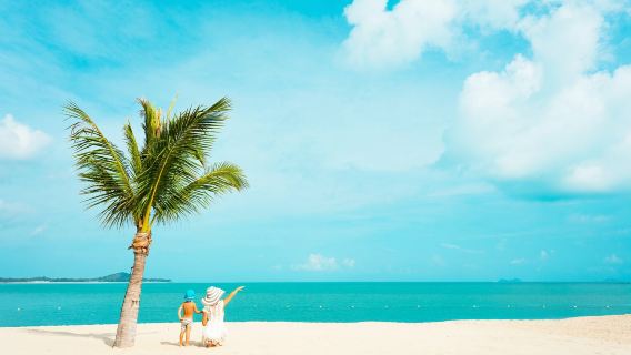 雙月灣+巽寮灣+天后宮+海龜灣+磨石石景設施【浪漫海灣•蜜月】