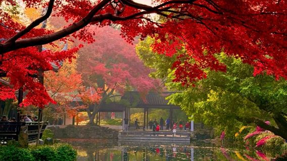 Shanghai round-trip: Wuxi 1-day tour|One order, one group|Customized Car and Driver in Multiple Languages (Chinese, English, etc.)