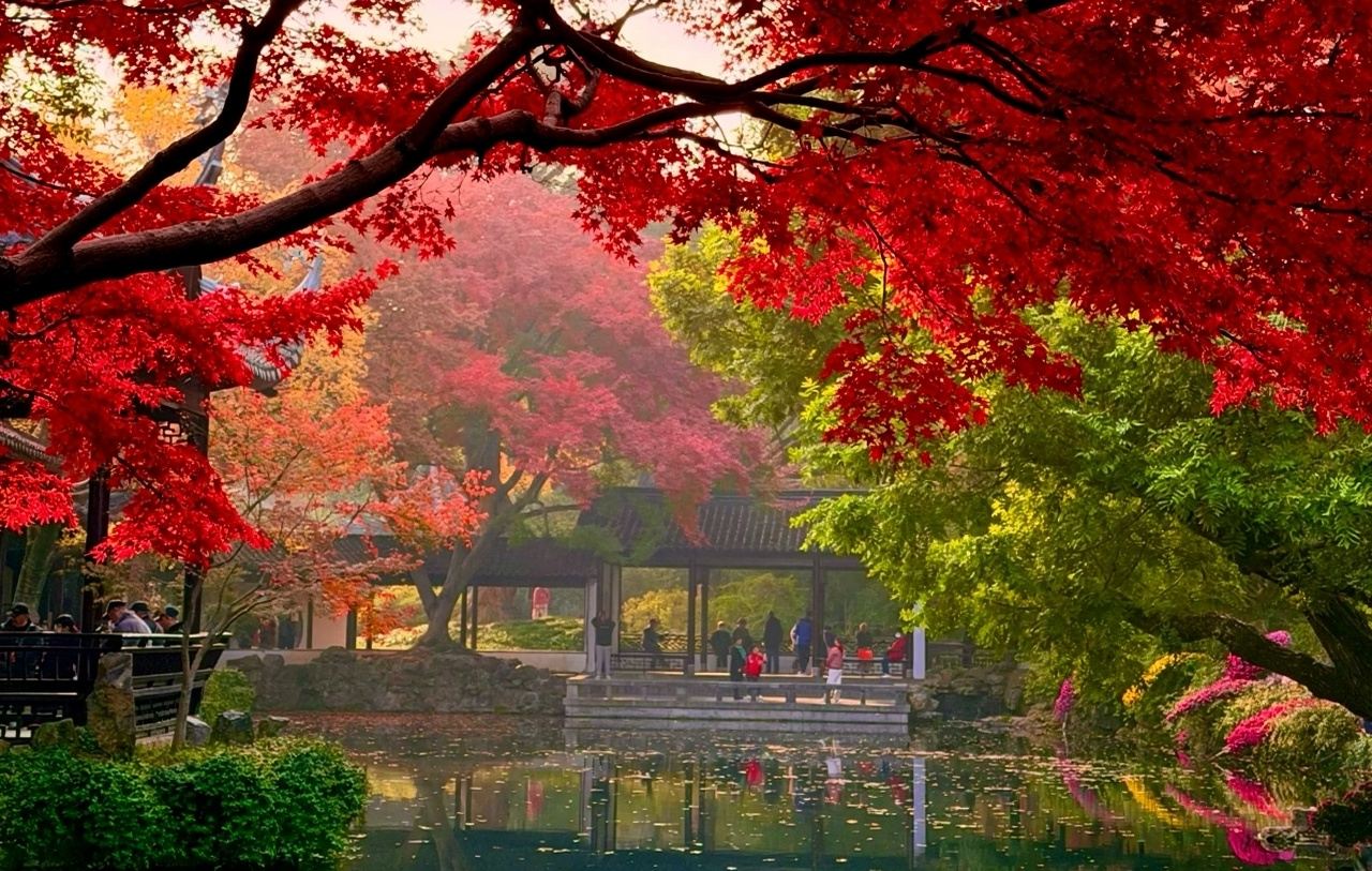 Shanghái ida y vuelta: excursión de un día a Wuxi|Un pedido, un grupo|Servicio de coche privado con conductor personalizado en varios idiomas, incluidos chino e inglés