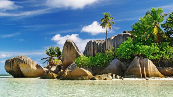 Tagesausflug mit Privattransfer zum Casela-Naturpark, Siebenfarbige Erde und Chamarel-Wasserfall auf Mauritius