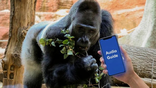 Online-Audioführer für den Zoo Prag (ohne Ticket)