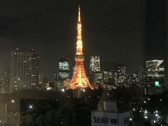 Tokyo Grand Hotel Room Type - Semi Double Room Non-smoking (Tokyo Tower Side) 