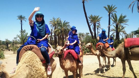 Camel Ride in Marrakech with Hotel-Pick up and Drop-off Included