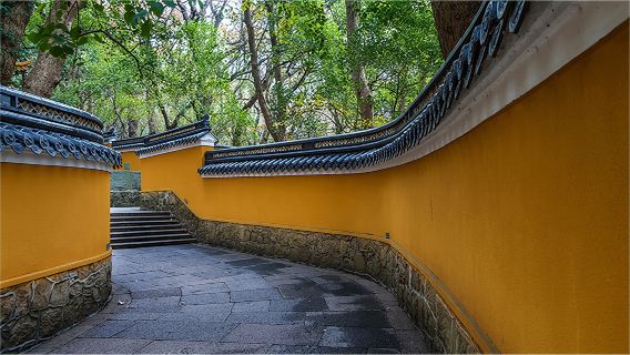 普陀山日遊