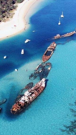 Brisbane Moreton Island 1-day tour | meal voucher included | feed dolphins/shipwreck snorkeling/sandboarding