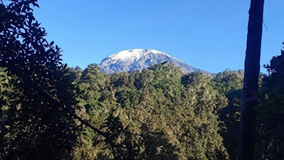 Meilleure excursion d'une journée pour gravir le Kilimandjaro avec Kilinge Adventures