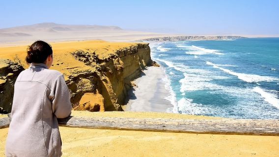 Escursione di un giorno alle Isole Ballestas e alla Riserva Nazionale di Paracas da Paracas