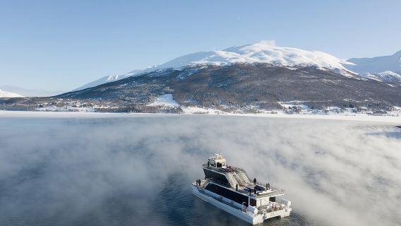 Half Day Arctic Fjord Cruise from Tromso