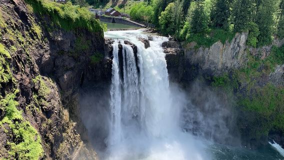 Guided forest hike to Seattle waterfalls incl. Snoqualmie Falls
