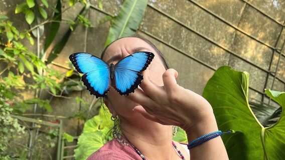 Lo mejor para hacer en Cali - Paseo de las Mariposas