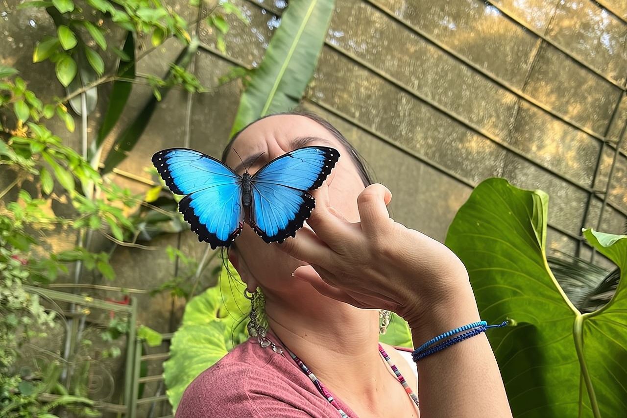 Admission to Andoke Butterfly Center in Cali with Release Ritual