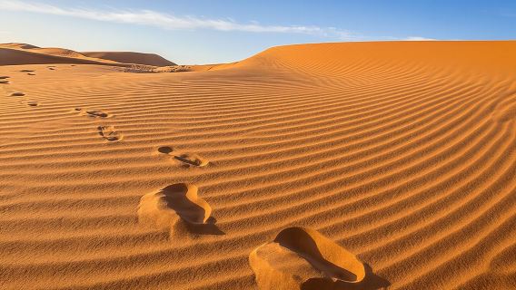 From Agadir desert excursion