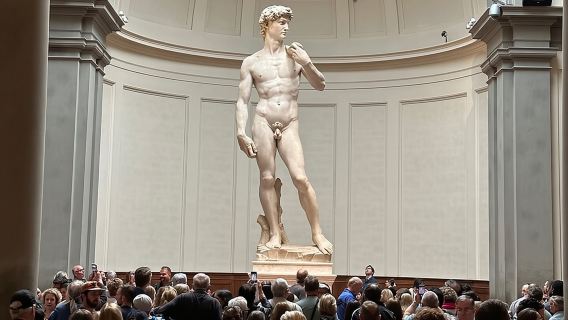 Skip the line : David Guided Experience