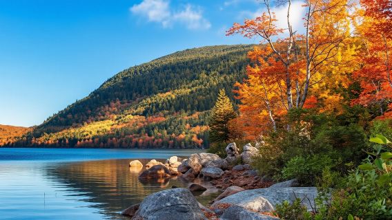 Acadia's Ocean Path Self-Guided Walking Audio Tour