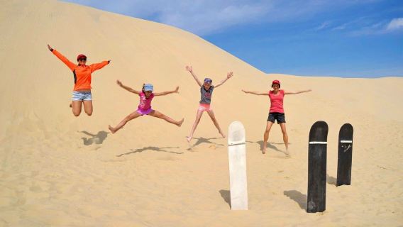 Stephen Sandboarding + Dolphin Cruise + Koala Sanctuary one-day tour: Depart from Sydney, Chinese and English Guide