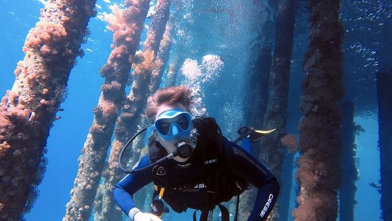 Private Scuba Diving Adventure in the Red Sea of Aqaba