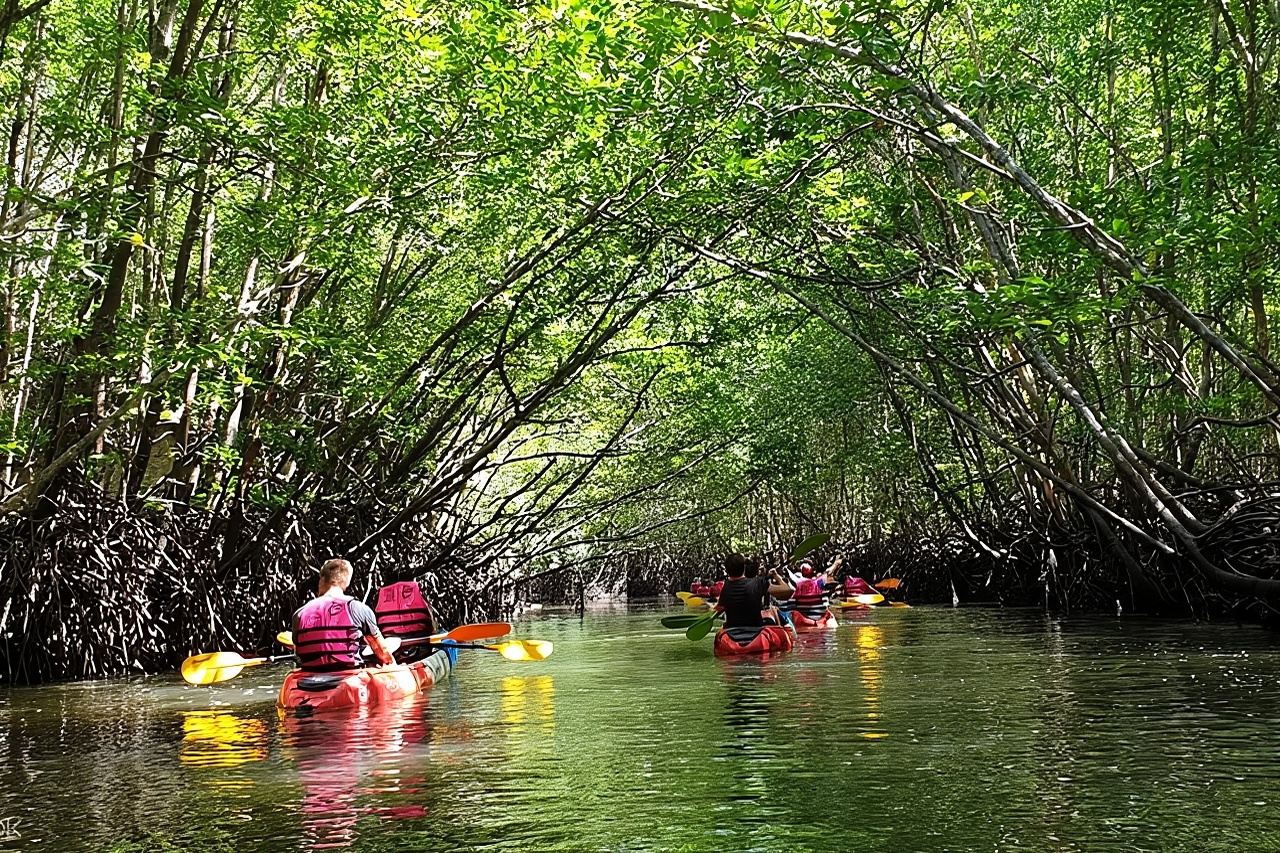 Excursion en kayak dans la mangrove de Ko Lanta avec déjeuner