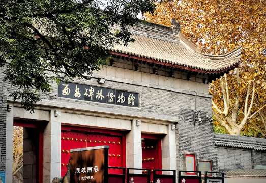 Xi'an Beilin Museum + City Wall + Bell Tower + Drum Tower + Muslim Quarter|One-day tour with pickup service