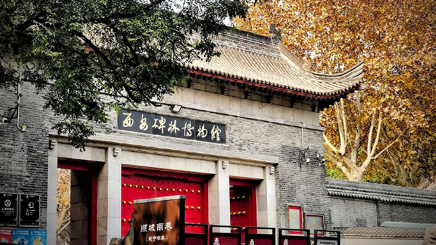 Xi'an Beilin Museum + City Wall + Bell Tower + Drum Tower + Muslim Quarter|One-day tour with pickup service