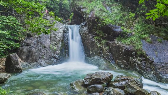 日本伊豆大室山+城崎海岸+仙人掌動物園+淨蓮瀑布經典一日遊
