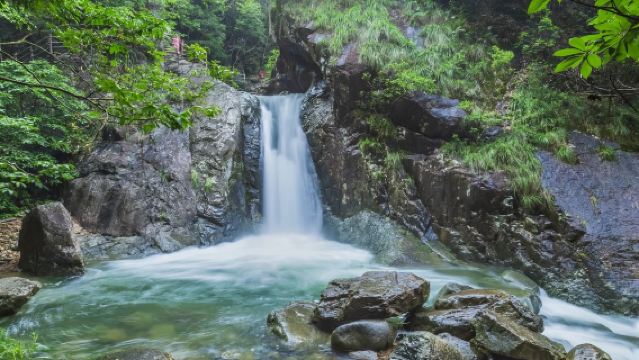 Classic 1-day tour of Izu: Mt. Omuro, Jogasaki Coast, Cactus Zoo, and Jōren Falls