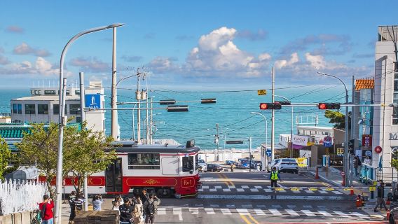 Busan one-day tour- Blue Line Park Sky Capsule + Gamcheon + Skywalk + Baeksand Cultural Village