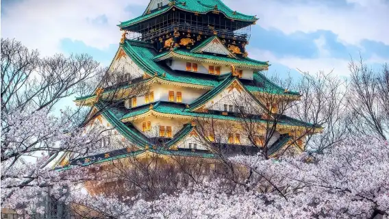 Japan Transportation Tokyo to Osaka Kyoto Transportation Two-way One-way Ticket High-speed Night Bus Four-row Bus Ticket